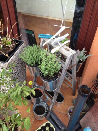 Régi fűszeres létra Pomázon